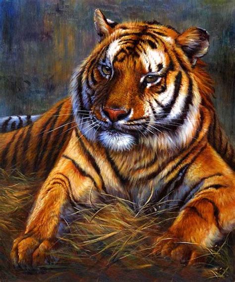 Animals Oil Painting Code Ycj001