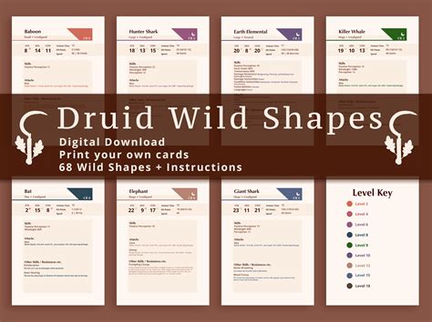 Druid Wild Shapes Deck Of Cards Digital Download Etsy Uk