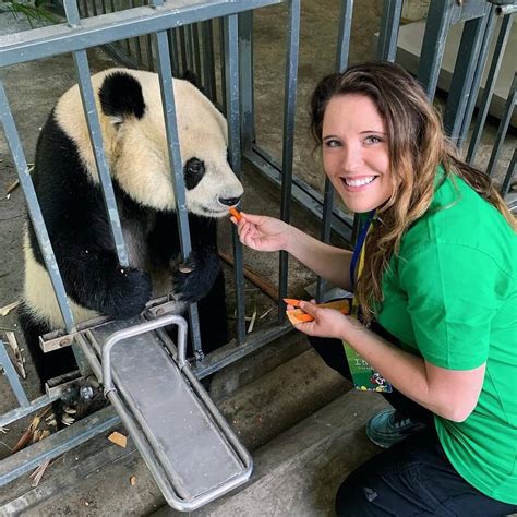 2019 Chengdu Panda Volunteer Programchengdu Panda Holding Cost