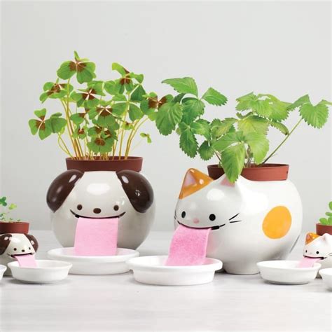 Plant Ts And Gardening Ts Are Perfect For Plant Lovers