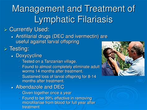 Ppt Lymphatic Filariasis Powerpoint Presentation Free Download Id