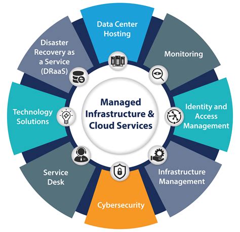 Infrastructure Management Solutions Blusonic
