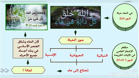 الإعجاز العلمي في القرآن الكريم الصف العاشر الفصل الثاني YouTube