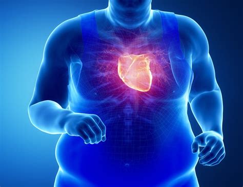 Fatty Heart And The Health Risks Associated With It