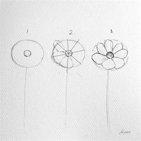 Una Ilustradora Nos Muestra Cómo Dibujar Flores En Tres Sencillos Pasos
