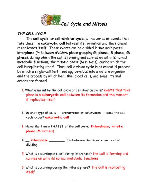 There are many answer keys to this worksheet on the internet, posted on various sites. Cell Cycle And Mitosis Packet | db-excel.com