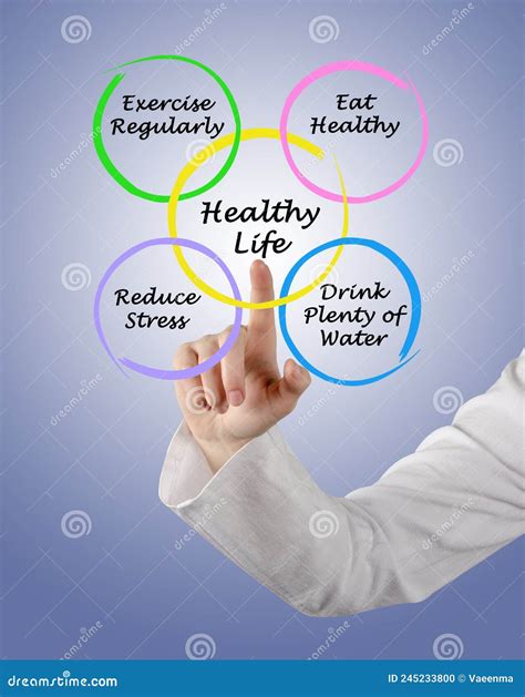 Diagram Of Healthy Life Stock Photo Image Of Presentation 245233800