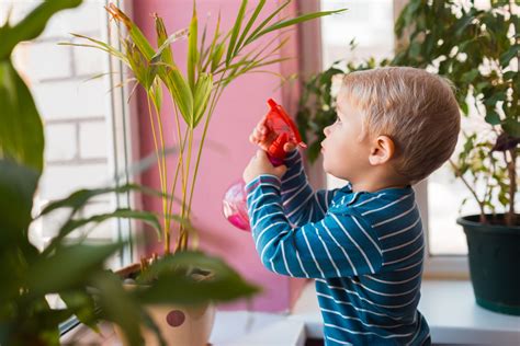 Are you interested in a houseplant with a twist? Build hand strength using spray bottles to water plants. # ...