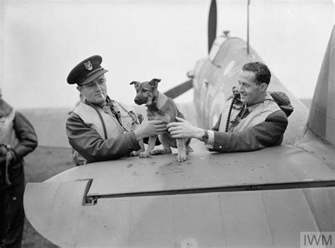 Ww2 Polish Pilots Who Flew In Battle Of Britain Imperial War Museums