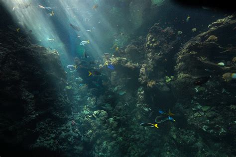 Underwater Jonesblog