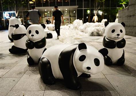 Bamboo Panda Exhibition In Shanghai Photos And Images Getty Images