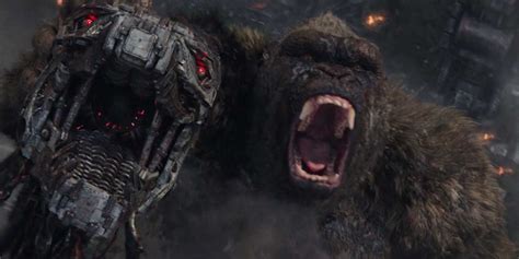 Godzilla Vs Kong Sequel Officially Begins Filming In Australia