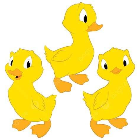 Cartoon Baby Ducks Wing Illustration Fowl Vector Wing Illustration