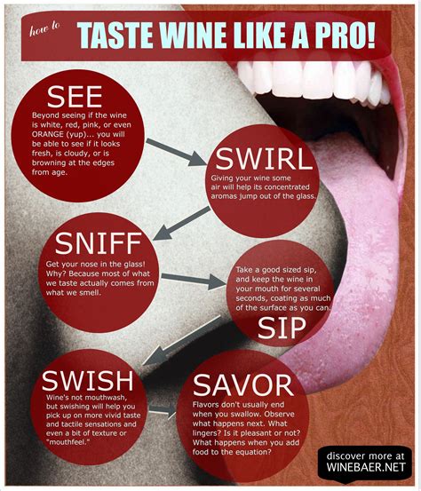 Infographic How To Taste Wine Like A Pro Wine Tasting Tasting Wine