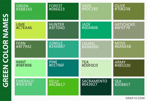 You should already saw shades of green colors in nature. Pin by Color Wheel on رنگ | Green color names, Brown color ...