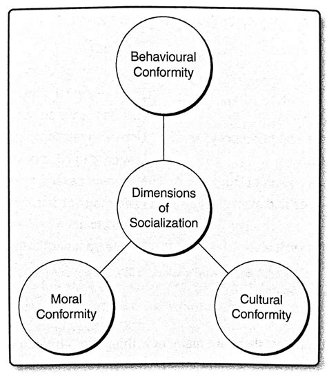 Three Terms Used To Describe Rejecting Socialization Morgankruwcooke