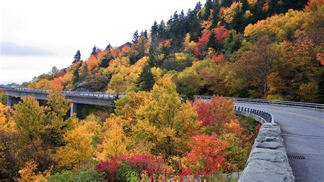 Linn Cove Viaduct On The Blue Ridge Parkway In Autumn North Carolina