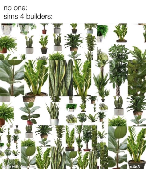 And A Plant Here And A Plant There Rsims4
