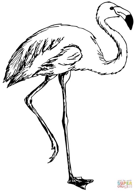 Ausmalbild Flamingo Ausmalbilder Kostenlos Zum Ausdrucken
