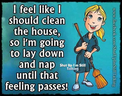 Let It Pass Cleaning Quotes Funny Funny Quotes Happy Quotes