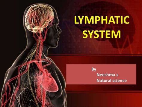 Lymphatic System Ppt