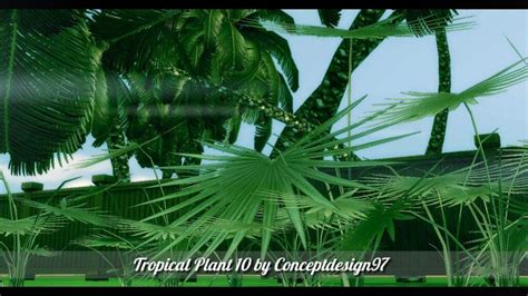Суббота, 30 июля 2016 г. (TS4/CC/DL) Outdoor Pack 5 - 10 Tropical Plants & 5 Palm ...