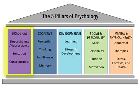 The Biological Domain Introduction To Psychology Lumenopenstax