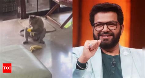 Avadhoot Gupte Shares A Video Of How Monkeys Entering His House And
