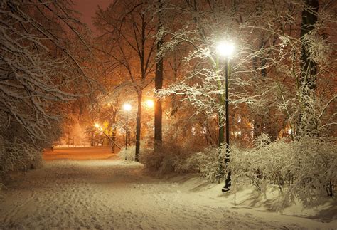 Free Wallpapers Romantic Evening Winter Park Alley Lanterns Road Nature