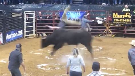 Sickening Moment Bull Gores Spectator In Cowboy Pinball Game Gone Wrong