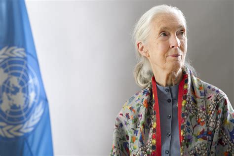 We are striving for an accessible but refined. Jane Goodall named Lecture Board speaker
