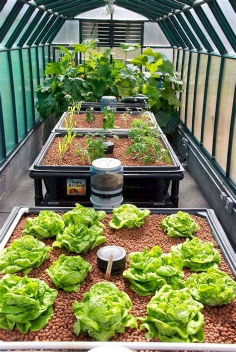 Growing plants without soil the nutrients used in hydroponic systems can come from many different sources, including fish. 30+ Best Hydroponic Garden Ideas To Decorate Your House # ...