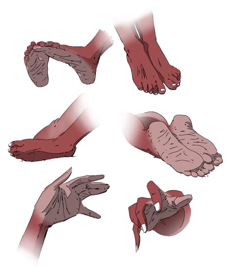 Priceless Feet And Hand Study By Pawfeather On Deviantart