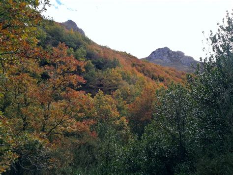 5 Opciones Para Disfrutar Del OtoÑo En La MontaÑa Palentina Valles Y