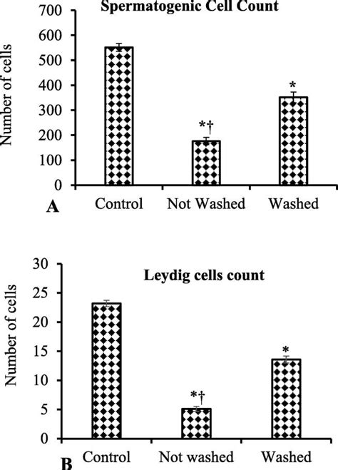 Effects of imidacloprid-contaminated feed exposure on spermatogenic