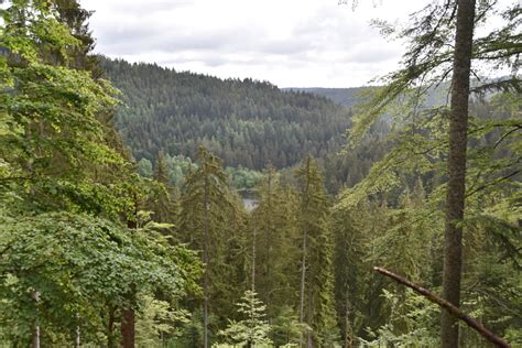 +49 7442 2434 telefax : Fahrrad Touring: Buhlbach-Baiersbronn-Kniebis ...