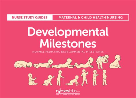 Developmental Milestones Nursing Study Guide