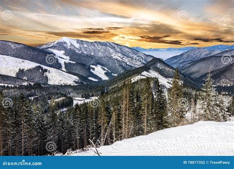 Slovakia Winter Mountain Forest Snow Sunset Landscape Stock Photo