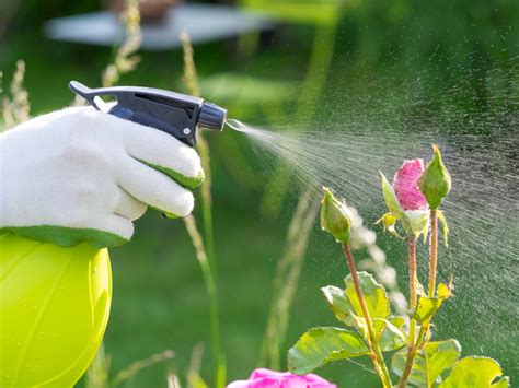 Pesticidas São Substâncias Utilizadas Para Promover O Controle De Pragas