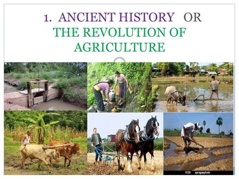 Agriculture And Its History