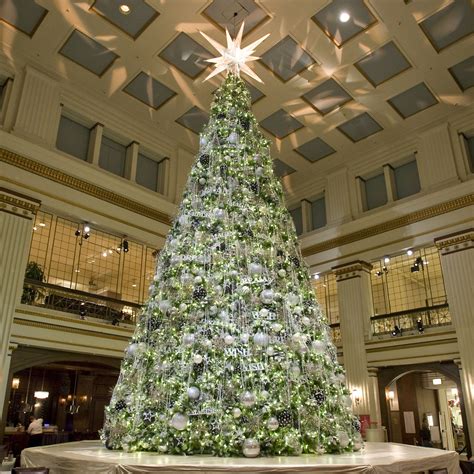 Giant Everest Fir Christmas Tree With Led Lights 17 Giant Everest