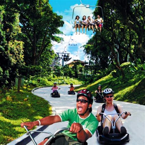 Sentosa Luge And Skyride Singapore Tickets And Vouchers Local Attractions