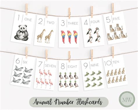 Printable Animal Flashcards Numbers Flashcards Animal Etsy