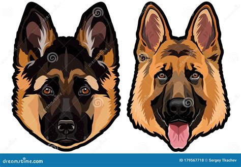 German Shepherd Dog Portrait Colored Vector Illustration Stock Vector