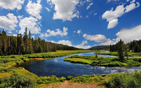 wallpaper landscape lake nature reflection grass park river summer wilderness pond