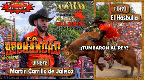 Tumbaron Al Rey Los Toros De La Hermandad Tumbaron A Los Reyes De