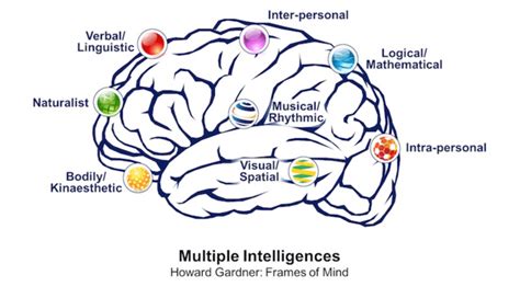 Multiple Intelligences Howard Gardner Download Scientific Diagram