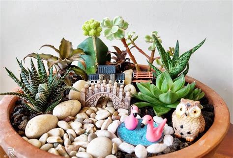 How To Make A Fairy Garden With Succulents Succulent City