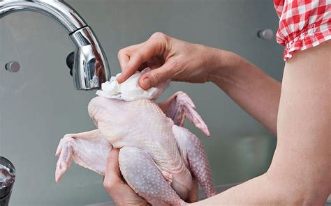 Should You Rinse Your Chicken Before Cooking It Lyfboat