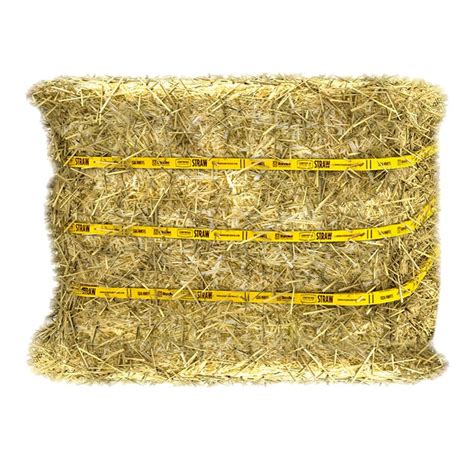 Standlee Certified Straw Compressed Bale